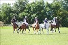 UKPA NC SAT_2366